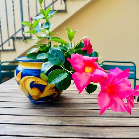 La Casa Di Grace * Floransa