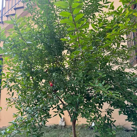 La Casa Di Grace Florencia
